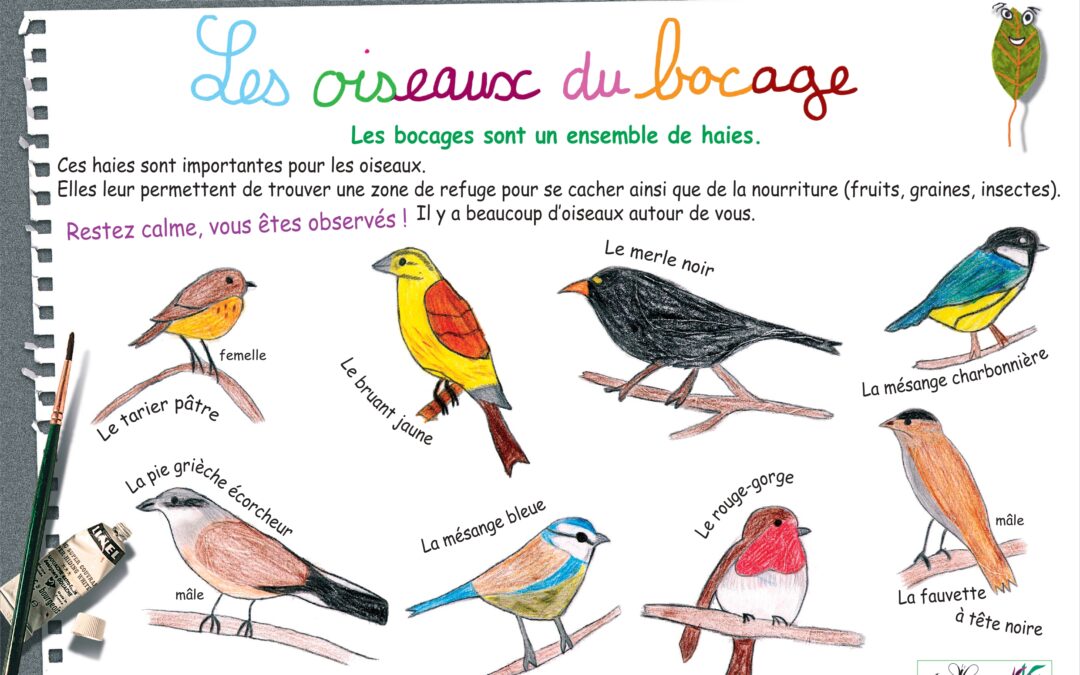 Sorties découvertes Nature sur les sentiers du Vuache