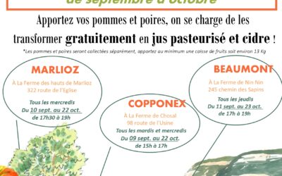 Collecte de vos pommes et poires