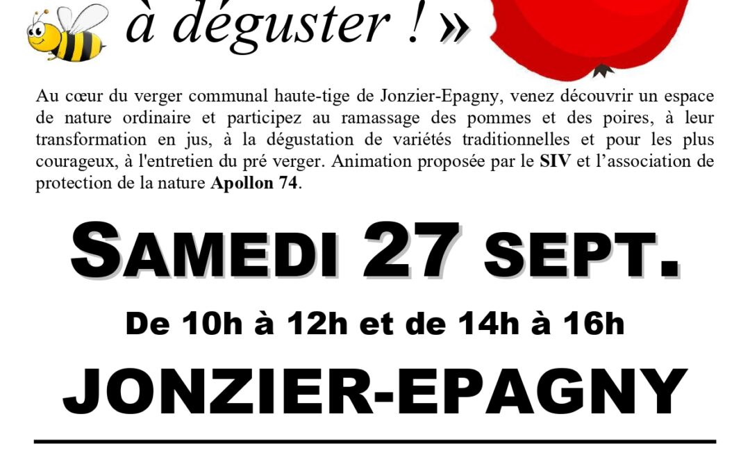 Animations automnales autour des Vergers traditionnels