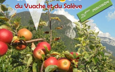 Fête des Vergers