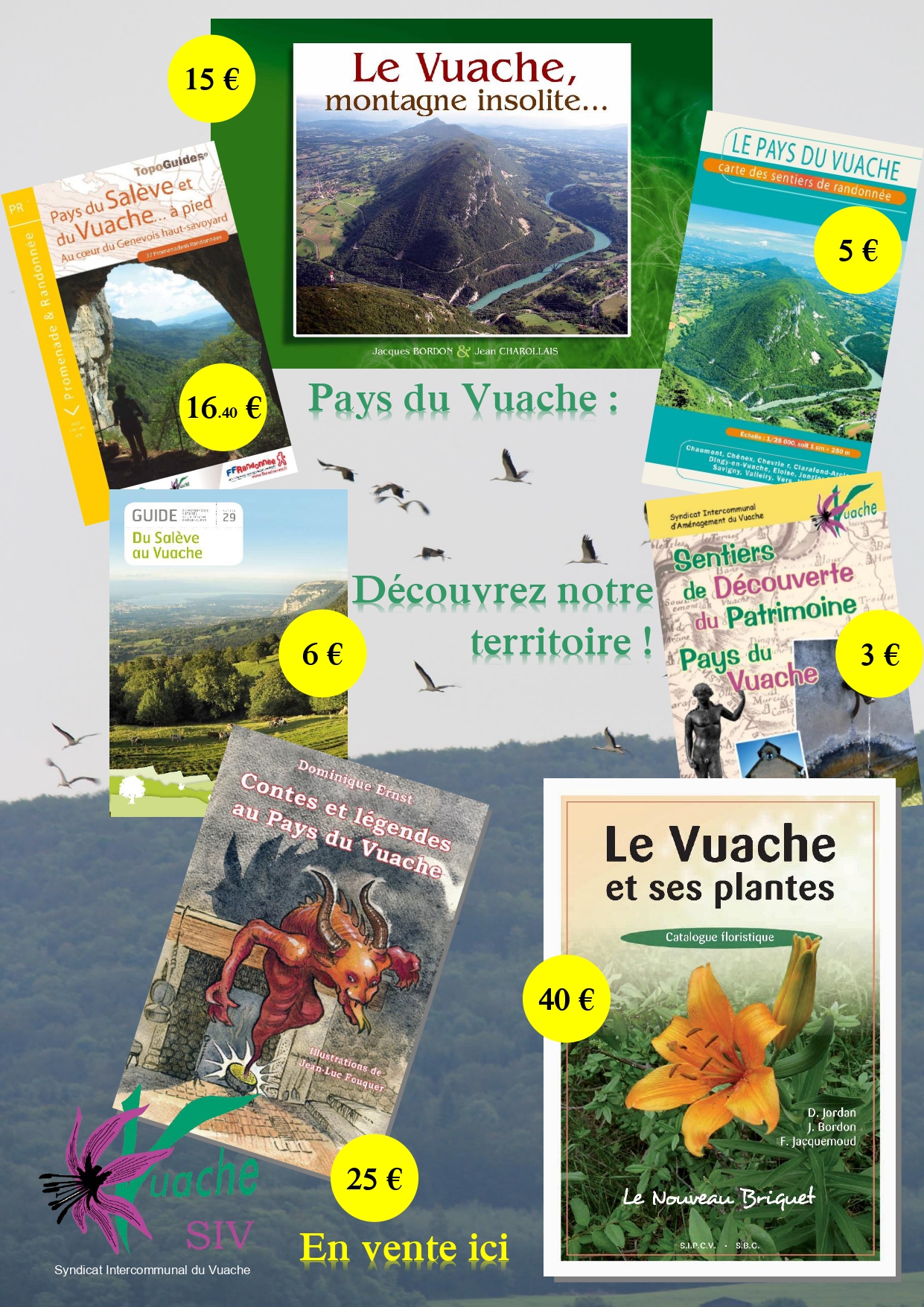 techniciens siv fabrice bovagne et samuel bois